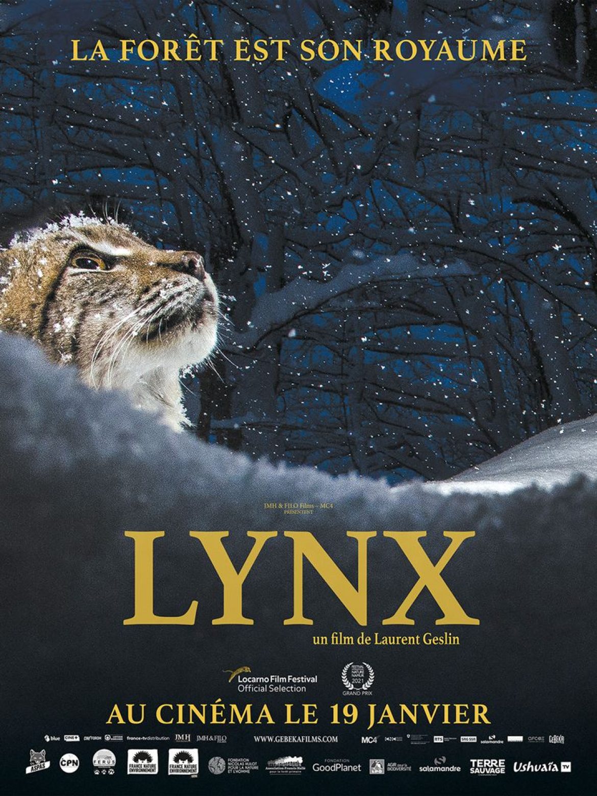 Lynx