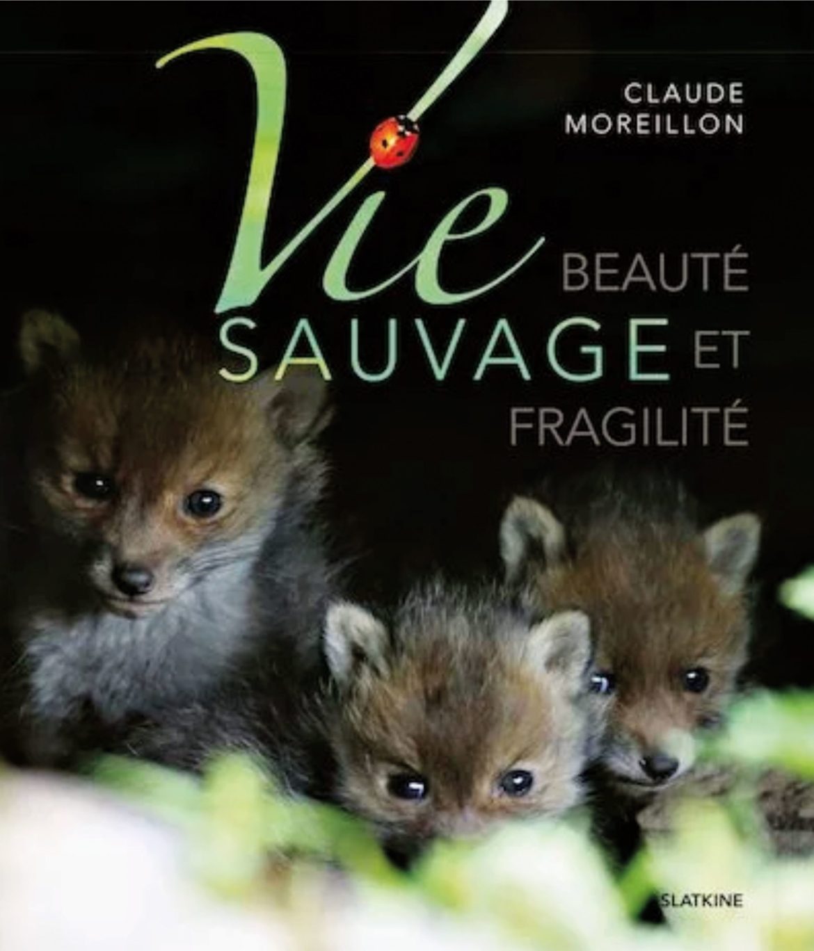 Vie sauvage